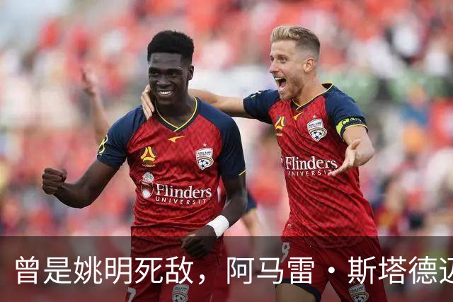 曾是姚明死敌，阿马雷·斯塔德迈尔转行成警察